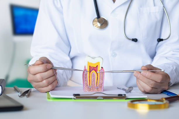 Best Walk-In Dentist Near Me  in Shorewood Tower Hills Harbert, MI